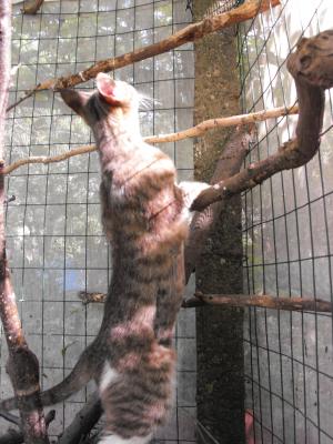 Прикачена снимка