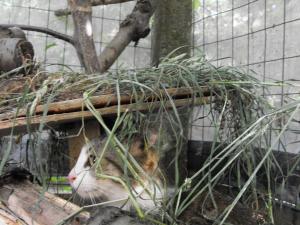 Прикачена снимка