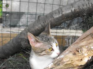 Прикачена снимка