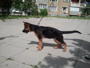 Прикачена снимка