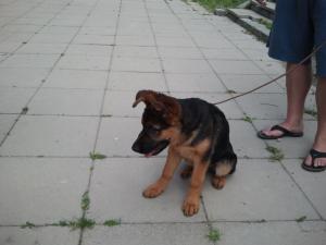 Прикачена снимка