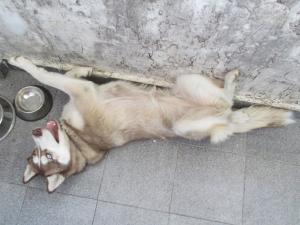 Прикачена снимка