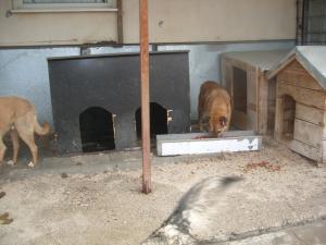 Прикачена снимка