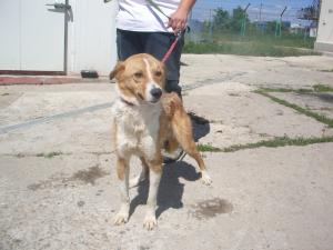 Прикачена снимка