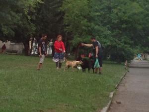 Прикачена снимка