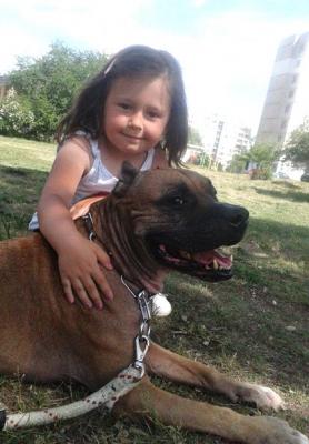 Прикачена снимка