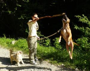 Прикачена снимка