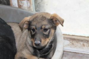 Прикачена снимка