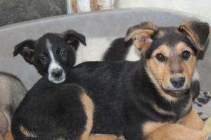 Прикачена снимка