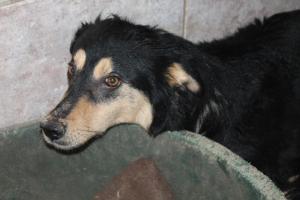 Прикачена снимка