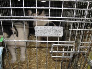 Прикачена снимка