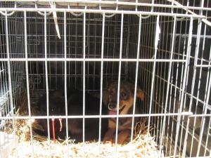 Прикачена снимка