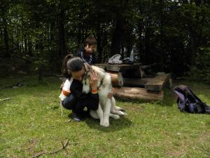 Прикачена снимка