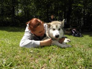 Прикачена снимка