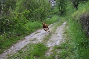 Прикачена снимка