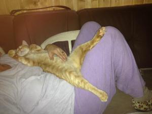 Прикачена снимка