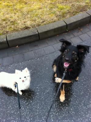 Прикачена снимка