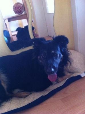 Прикачена снимка