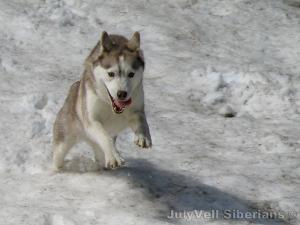 Прикачена снимка