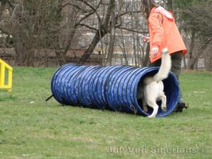 Прикачена снимка