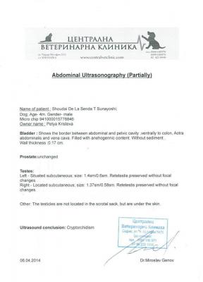 Прикачена снимка