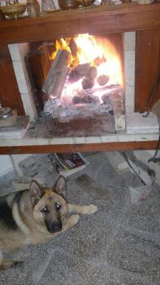 Прикачена снимка