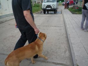 Прикачена снимка
