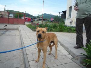 Прикачена снимка