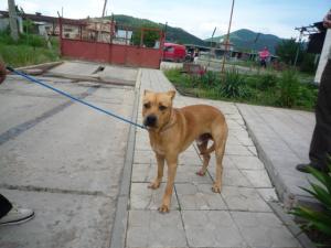 Прикачена снимка