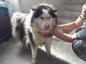 Прикачена снимка