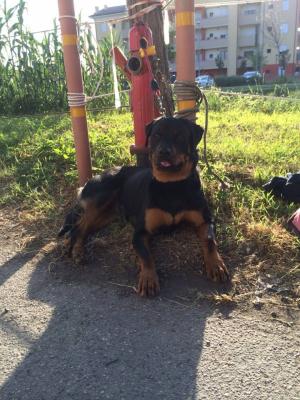 Прикачена снимка