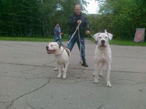 Прикачена снимка