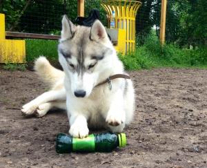 Прикачена снимка