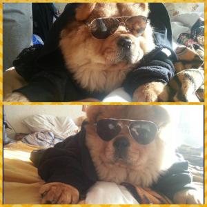 Прикачена снимка