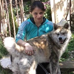Прикачена снимка