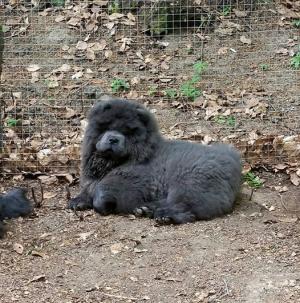 Прикачена снимка