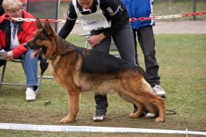 Прикачена снимка