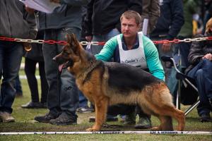 Прикачена снимка