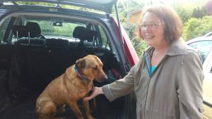 Прикачена снимка