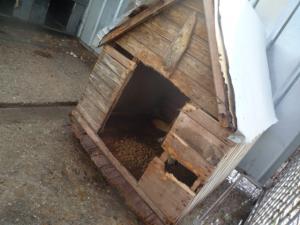 Прикачена снимка