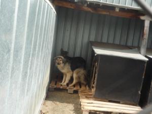 Прикачена снимка