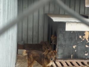 Прикачена снимка