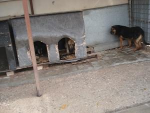 Прикачена снимка