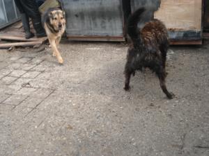 Прикачена снимка