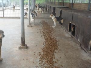 Прикачена снимка