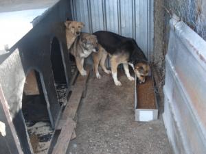 Прикачена снимка