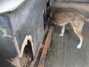 Прикачена снимка