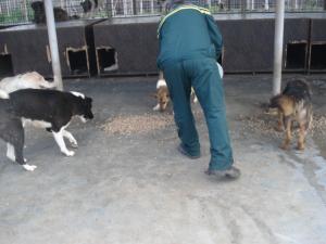 Прикачена снимка
