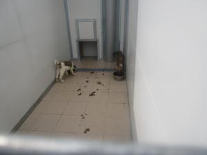 Прикачена снимка