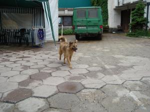 Прикачена снимка